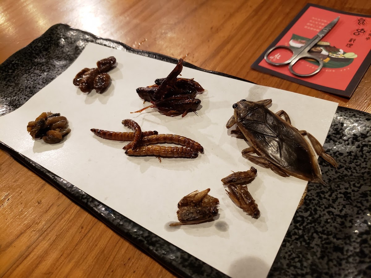 Rice & Circus Takadanobaba-6